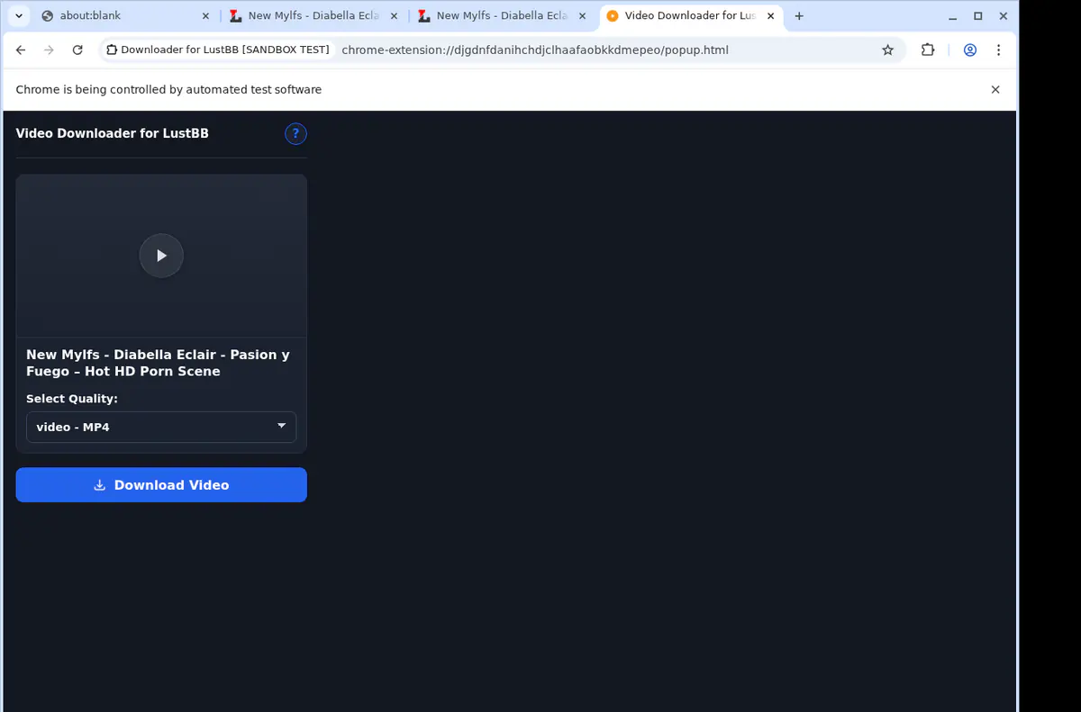 Lustbb Video Downloader screenshot 4