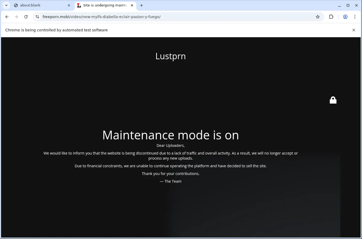 Lustbb Video Downloader screenshot 5